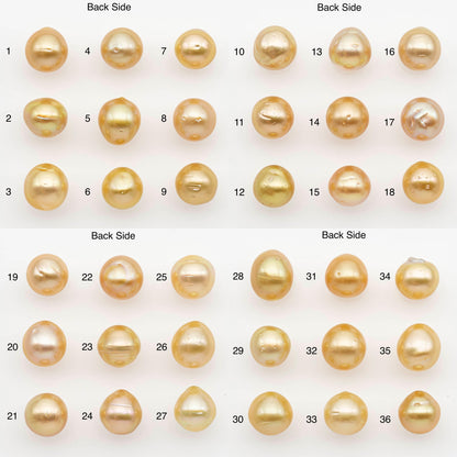 10-11mm South Sea Pearl, Gold Near Round Single Piece Nondrilled with High Luster and Minor Blemishes for Jewelry Making, SKU # 2680GS