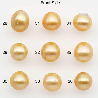 10-11mm South Sea Pearl, Gold Near Round Single Piece Nondrilled with High Luster and Minor Blemishes for Jewelry Making, SKU # 2680GS