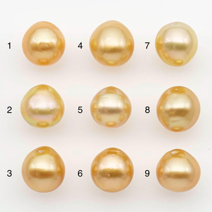 11-12mm South Sea Pearl, Gold Near Round Single Piece Nondrilled with High Luster for Jewelry Making, SKU # 2681GS