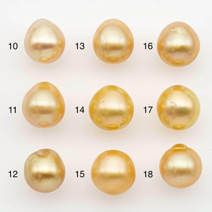 11-12mm South Sea Pearl, Gold Near Round Single Piece Nondrilled with High Luster for Jewelry Making, SKU # 2681GS