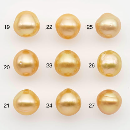 11-12mm South Sea Pearl, Gold Near Round Single Piece Nondrilled with High Luster for Jewelry Making, SKU # 2681GS