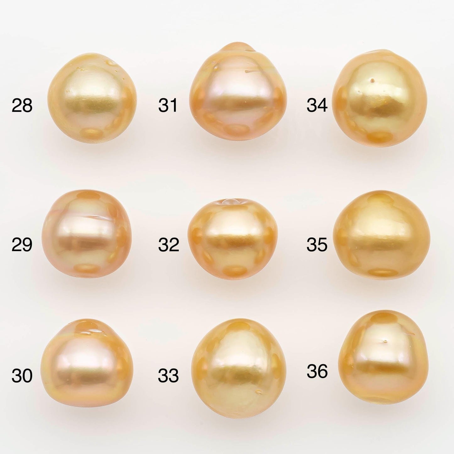 11-12mm South Sea Pearl, Gold Near Round Single Piece Nondrilled with High Luster for Jewelry Making, SKU # 2681GS