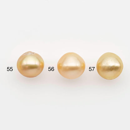 11-12mm South Sea Pearl, Gold Near Round Single Piece Nondrilled with High Luster for Jewelry Making, SKU # 2681GS