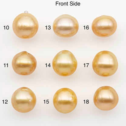 11-12mm South Sea Pearl, Gold Near Round Single Piece Nondrilled with High Luster and Minor Blemishes for Jewelry Making, SKU # 2683GS