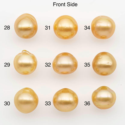 11-12mm South Sea Pearl, Gold Near Round Single Piece Nondrilled with High Luster and Minor Blemishes for Jewelry Making, SKU # 2683GS