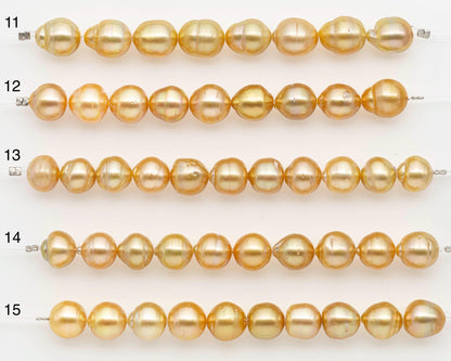 10-11mm Golden South Sea Pearls, Natural Gold Color, For Jewelry Making Necklace and Bracelet, SKU# 2671GS