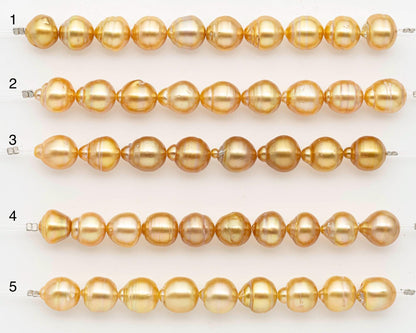 10-11mm Golden South Sea Pearls, Natural Gold Color, For Jewelry Making Necklace and Bracelet, SKU# 2672GS