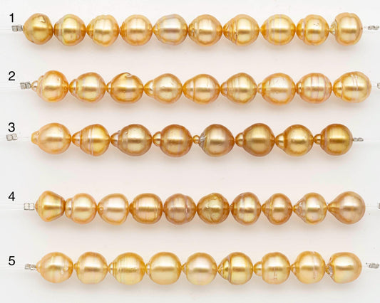 10-11mm Golden South Sea Pearls, Natural Gold Color, For Jewelry Making Necklace and Bracelet, SKU# 2672GS
