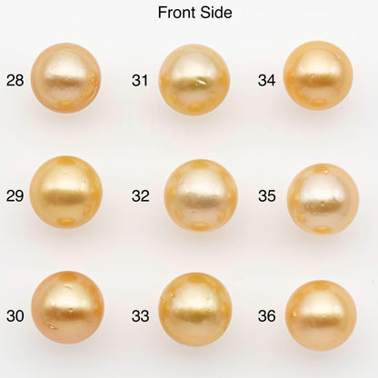 9-10mm South Sea Pearl, Gold Near Round Single Piece Nondrilled with High Luster and Minor Blemishes for Jewelry Making, SKU # 2675GS