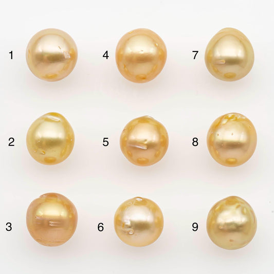 9-10mm South Sea Pearl, Gold Near Round Single Piece Nondrilled with High Luster and Minor Blemishes for Jewelry Making, SKU # 2678GS