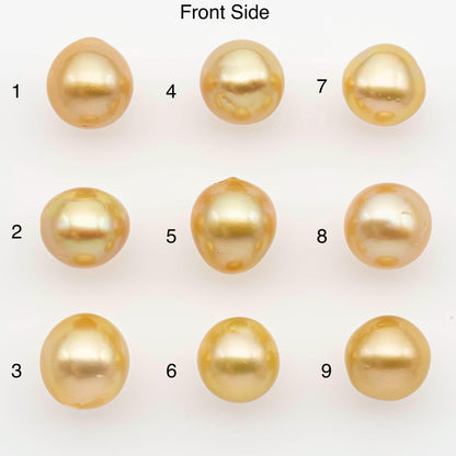 10-11mm South Sea Pearl, Gold Near Round Single Piece Nondrilled with High Luster and Minor Blemishes for Jewelry Making, SKU # 2680GS