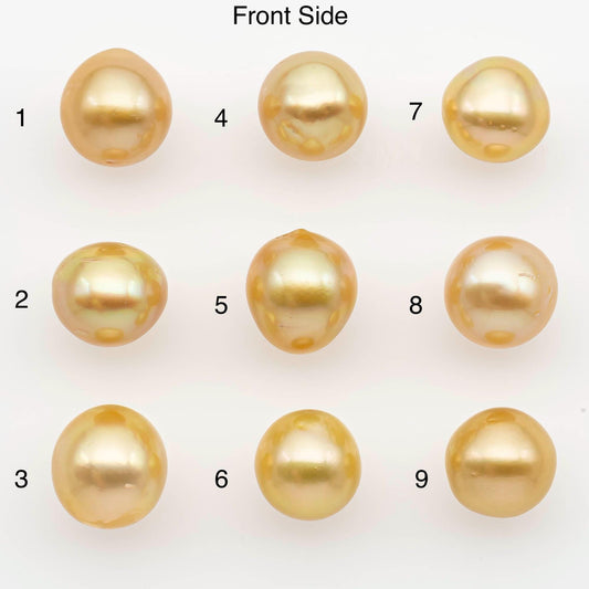 10-11mm South Sea Pearl, Gold Near Round Single Piece Nondrilled with High Luster and Minor Blemishes for Jewelry Making, SKU # 2680GS