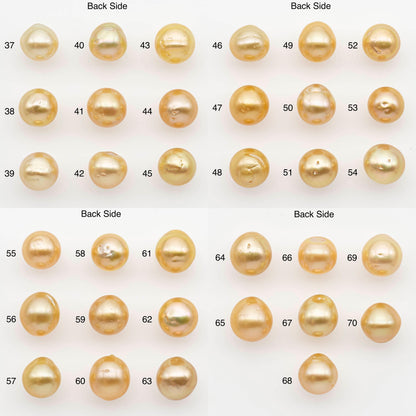 10-11mm South Sea Pearl, Gold Near Round Single Piece Nondrilled with High Luster and Minor Blemishes for Jewelry Making, SKU # 2680GS