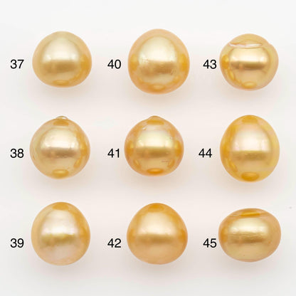 11-12mm South Sea Pearl, Gold Near Round Single Piece Nondrilled with High Luster for Jewelry Making, SKU # 2681GS
