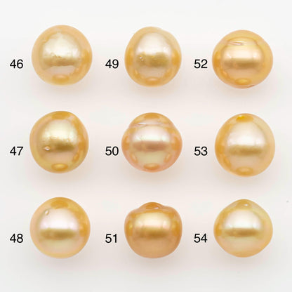 11-12mm South Sea Pearl, Gold Near Round Single Piece Nondrilled with High Luster for Jewelry Making, SKU # 2681GS