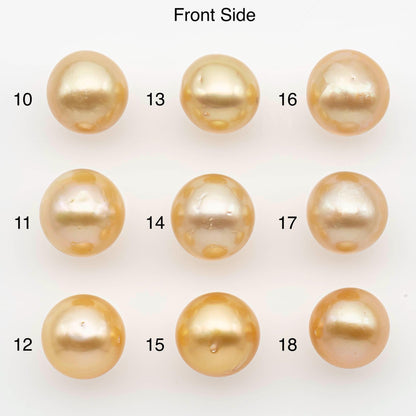 11-12mm South Sea Pearl, Gold Near Round Single Piece Nondrilled with High Luster and Minor Blemishes for Jewelry Making, SKU # 2682GS