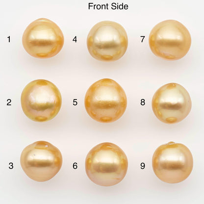 11-12mm South Sea Pearl, Gold Near Round Single Piece Nondrilled with High Luster and Minor Blemishes for Jewelry Making, SKU # 2683GS
