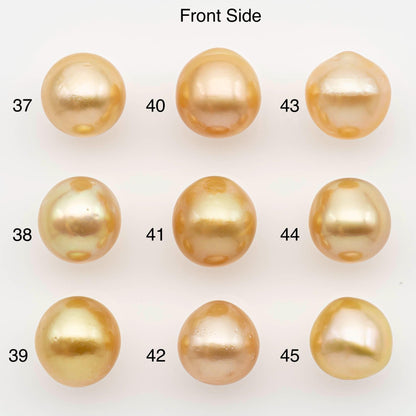 11-12mm South Sea Pearl, Gold Near Round Single Piece Nondrilled with High Luster and Minor Blemishes for Jewelry Making, SKU # 2683GS