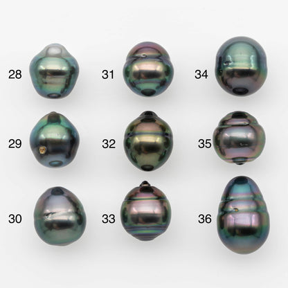10-11mm Tahitian Pearl, Loose Undrilled with High Luster and for Jewelry Making, SKU # 2690TH