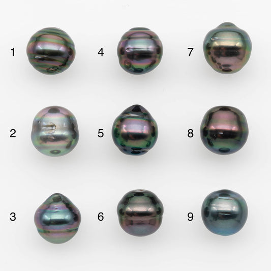 10-11mm Tahitian Pearl, Loose Undrilled with High Luster and for Jewelry Making, SKU # 2691TH