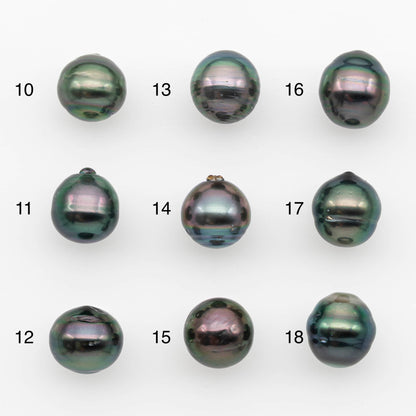 10-11mm Tahitian Pearl, Loose Undrilled with High Luster and for Jewelry Making, SKU # 2691TH