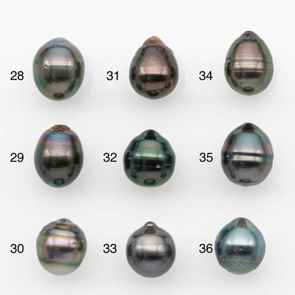 10-11mm Tahitian Pearl, Loose Undrilled with High Luster and for Jewelry Making, SKU # 2691TH