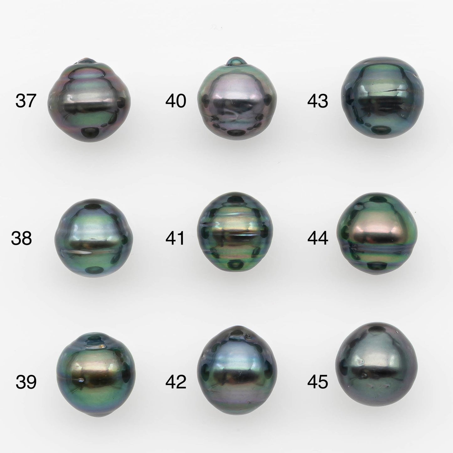 10-11mm Tahitian Pearl, Loose Undrilled with High Luster and for Jewelry Making, SKU # 2691TH