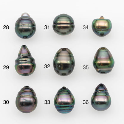 10-11mm Tahitian Pearl, Loose Undrilled with High Luster and for Jewelry Making, SKU # 2692TH