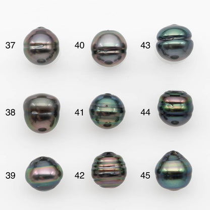 10-11mm Tahitian Pearl, Loose Undrilled with High Luster and for Jewelry Making, SKU # 2692TH