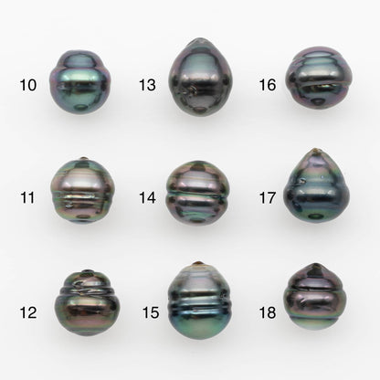 10-11mm Tahitian Pearl, Loose Undrilled with High Luster and for Jewelry Making, SKU # 2693TH