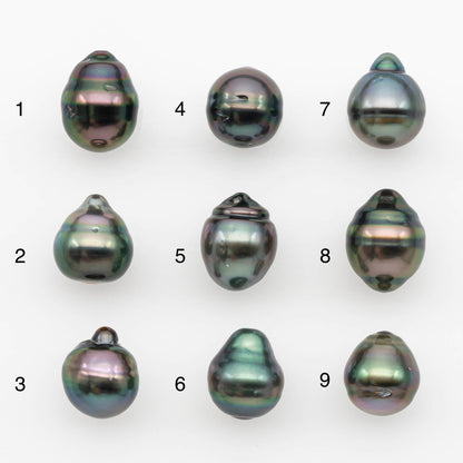 10-11mm Tahitian Pearl, Loose Undrilled with High Luster and for Jewelry Making, SKU # 2693TH