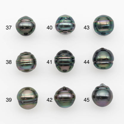 10-11mm Tahitian Pearl, Loose Undrilled with High Luster and for Jewelry Making, SKU # 2693TH