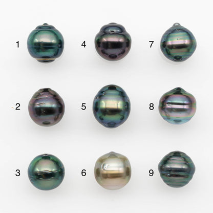 10-11mm Tahitian Pearl, Loose Undrilled with High Luster and for Jewelry Making, SKU # 2694TH