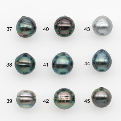 10-11mm Tahitian Pearl, Loose Undrilled with High Luster and for Jewelry Making, SKU # 2694TH