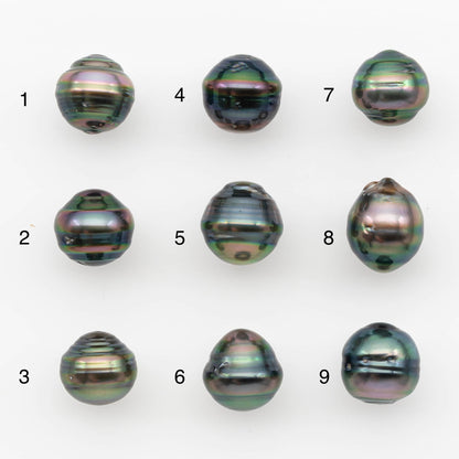 10-11mm Tahitian Pearl, Loose Undrilled with High Luster and for Jewelry Making, SKU # 2695TH