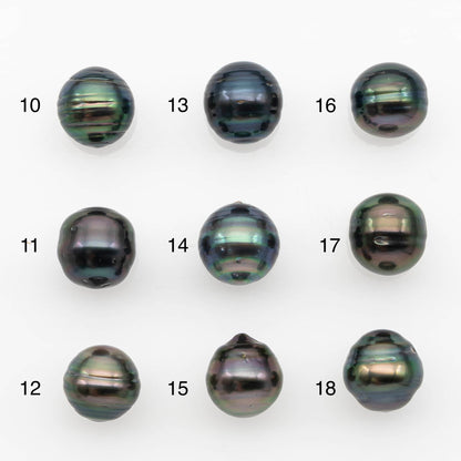 10-11mm Tahitian Pearl, Loose Undrilled with High Luster and for Jewelry Making, SKU # 2695TH