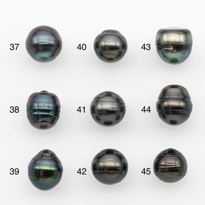 10-11mm Tahitian Pearl, Loose Undrilled with High Luster and for Jewelry Making, SKU # 2695TH