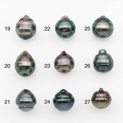 10-11mm Tahitian Pearl, Loose Undrilled with High Luster and for Jewelry Making, SKU # 2697TH