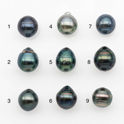 10-11mm Tahitian Pearl, Loose Undrilled with High Luster and for Jewelry Making, SKU # 2698TH