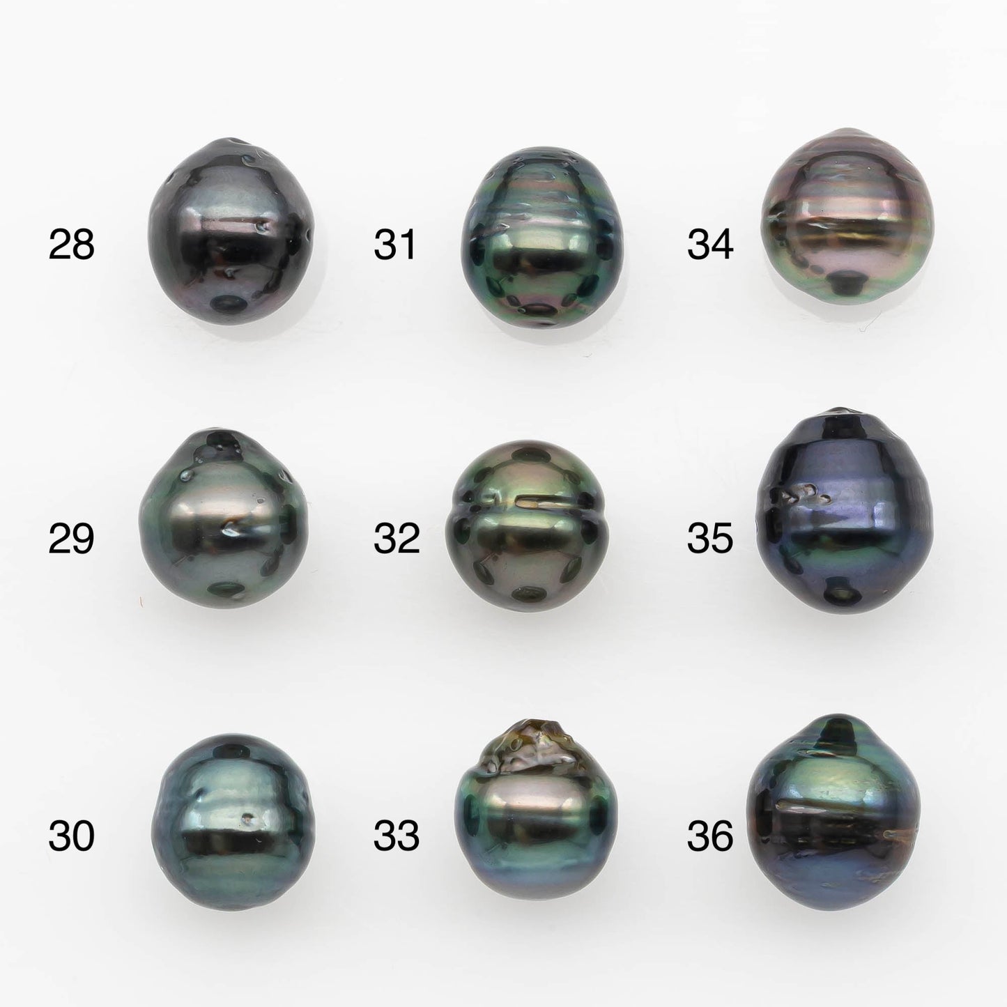10-11mm Tahitian Pearl, Loose Undrilled with High Luster and for Jewelry Making, SKU # 2698TH