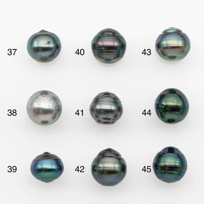 10-11mm Tahitian Pearl, Loose Undrilled with High Luster and for Jewelry Making, SKU # 2698TH