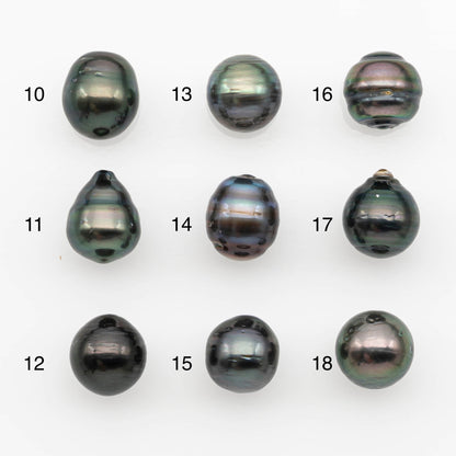 10-11mm Tahitian Pearl, Loose Undrilled with High Luster and for Jewelry Making, SKU # 2699TH