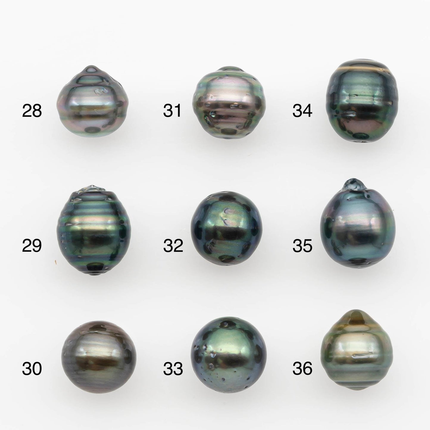 10-11mm Tahitian Pearl, Loose Undrilled with High Luster and for Jewelry Making, SKU # 2699TH