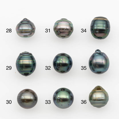 10-11mm Tahitian Pearl, Loose Undrilled with High Luster and for Jewelry Making, SKU # 2699TH