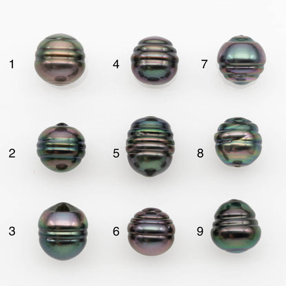 10-11mm Tahitian Pearl, Loose Undrilled with High Luster and for Jewelry Making, SKU # 2700TH