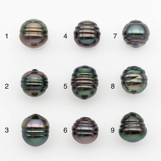 10-11mm Tahitian Pearl, Loose Undrilled with High Luster and for Jewelry Making, SKU # 2700TH
