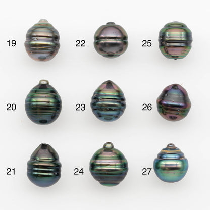 10-11mm Tahitian Pearl, Loose Undrilled with High Luster and for Jewelry Making, SKU # 2700TH