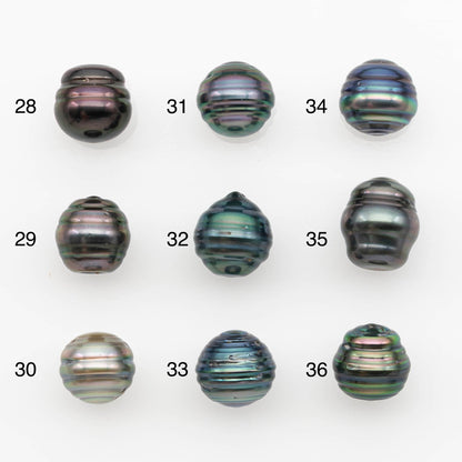 10-11mm Tahitian Pearl, Loose Undrilled with High Luster and for Jewelry Making, SKU # 2700TH