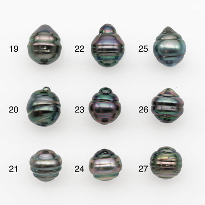 10-11mm Tahitian Pearl, Loose Undrilled with High Luster and for Jewelry Making, SKU # 2701TH