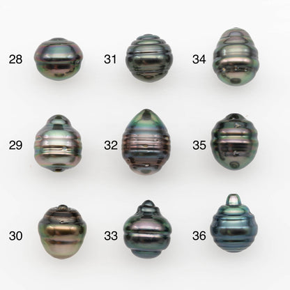 10-11mm Tahitian Pearl, Loose Undrilled with High Luster and for Jewelry Making, SKU # 2701TH